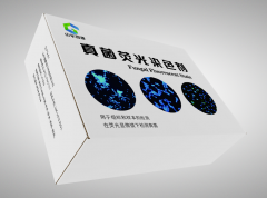 真菌熒光染色劑